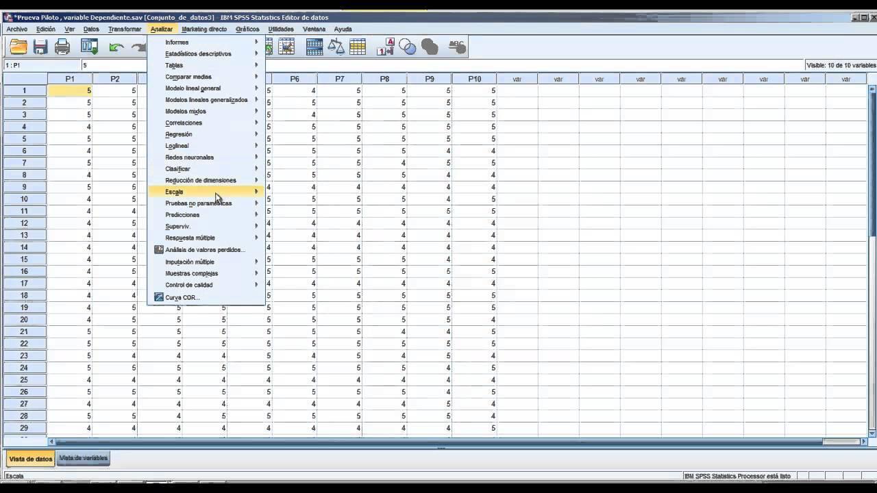 SPSSScreenshot 1