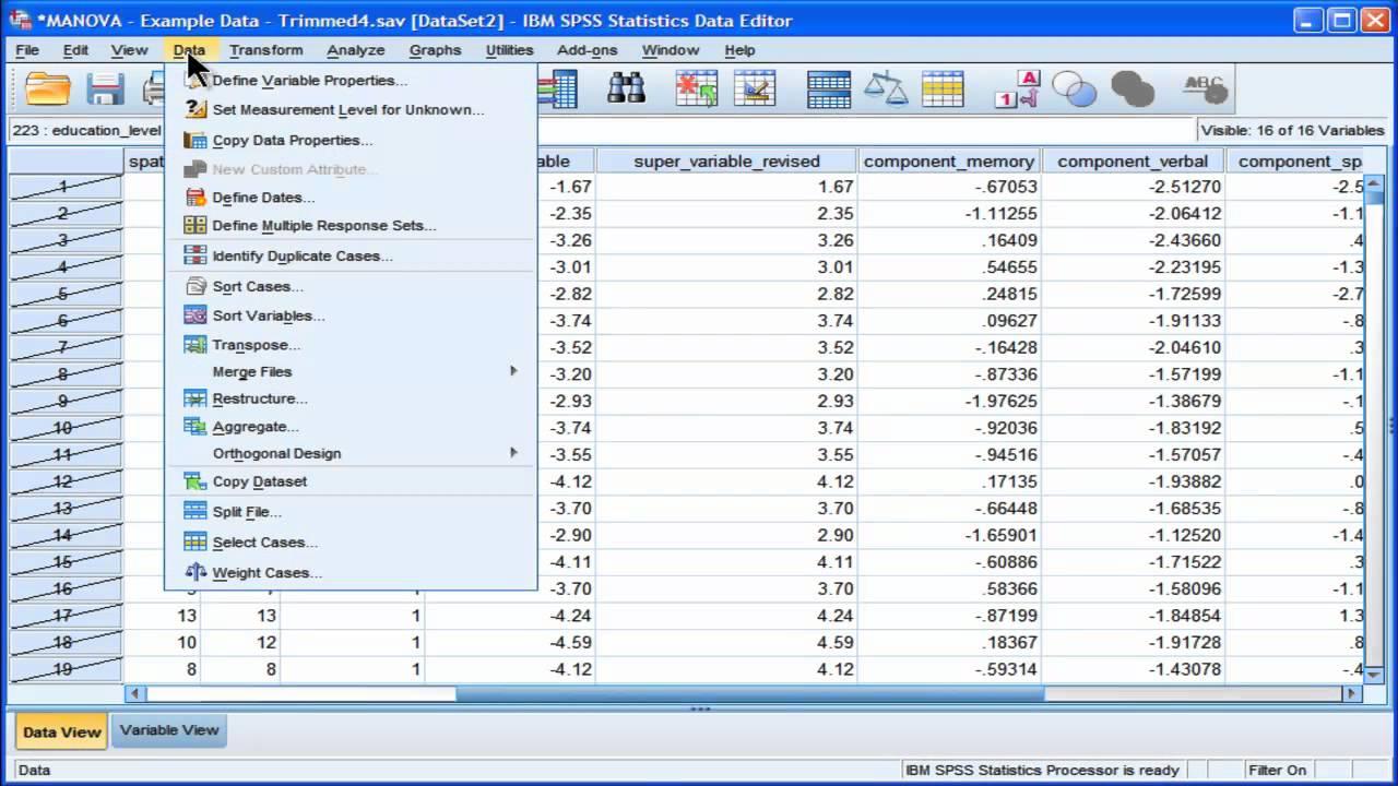 SPSS Screnshot 3